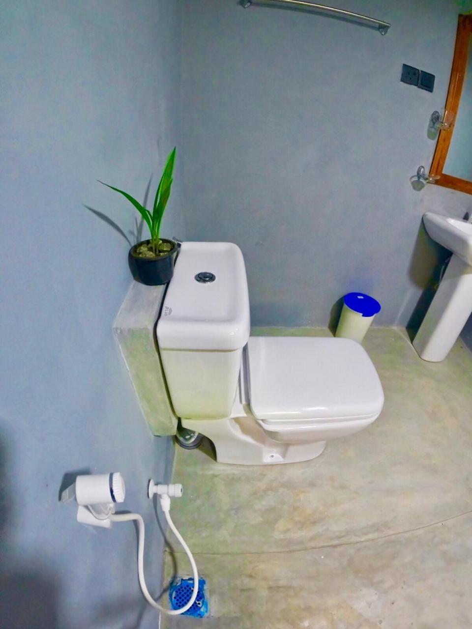 Ostello Surf Resort Ahangama Kültér fotó